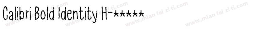 Calibri Bold Identity H字体转换